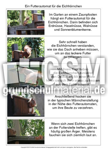 Abschreibtext-Bildergeschichte-E-3.pdf